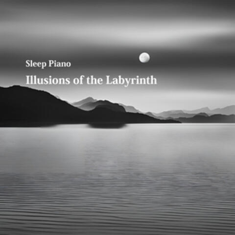 Illusions of the Labyrinth