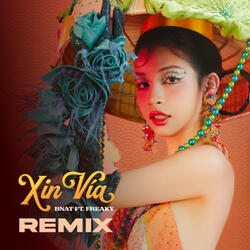 Xin Vía