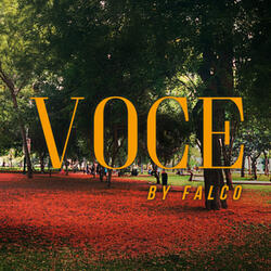 Voce