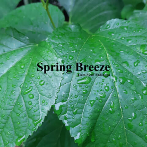 Spring Breeze