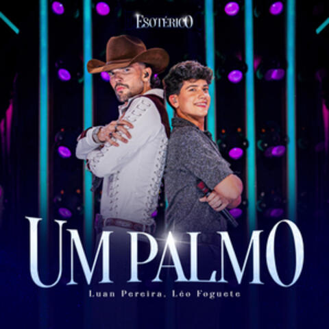 UM PALMO