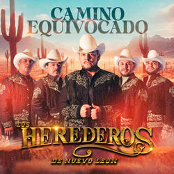 Camino Equivocado