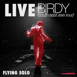 Flying Solo