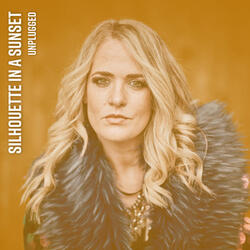 Silhouette In a Sunset