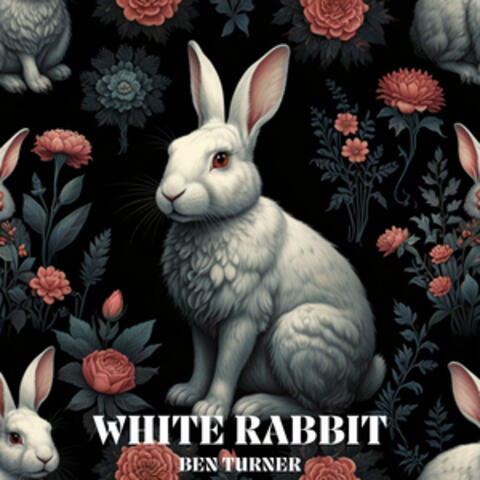 WHITE RABBIT