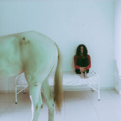 Horses In My Heart