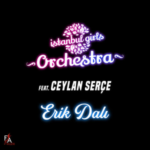 Erik Dalı
