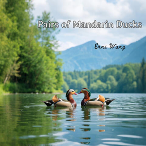 Pairs of Mandarin Ducks