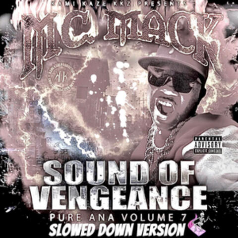 Sound of Vengeance: Pure Ana Volume 7