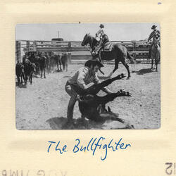 The Bullfighter