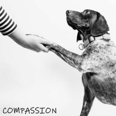 Compassion