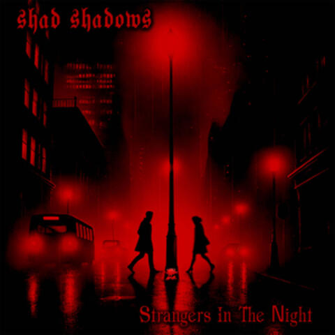 Strangers in the Night