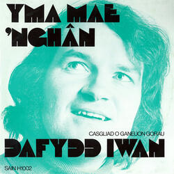 Cân y Medd