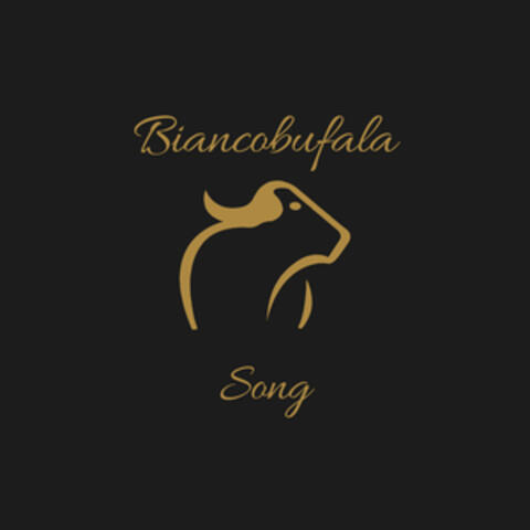 Biancobufala song