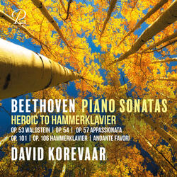 Piano Sonata No. 28 in A Major, Op. 101: II. Ziemlich lebhaft. Marschmäßig (Vivace alla marcia)