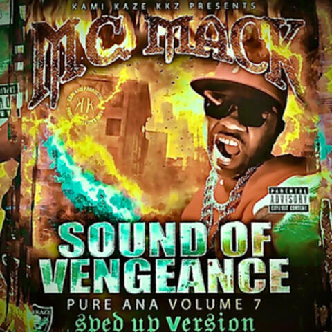 Sound of Vengeance: Pure Ana Volume 7