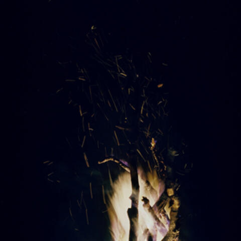 Burn It