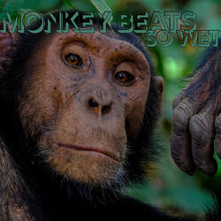 Monkey Beats