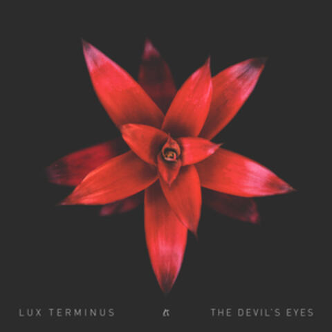 The Devil's Eyes
