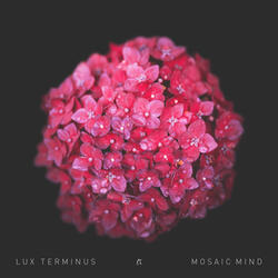 Mosaic Mind