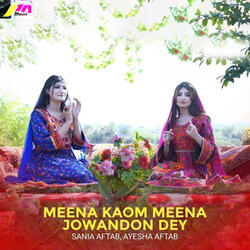 Meena Kaom Meena Jowandon Dey