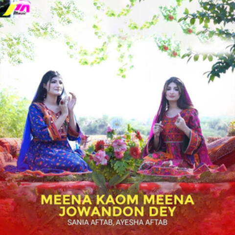 Meena Kaom Meena Jowandon Dey - Single