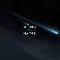 你像流星划过了天际