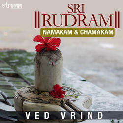 Sri Rudram (Namakam & Chamakam)