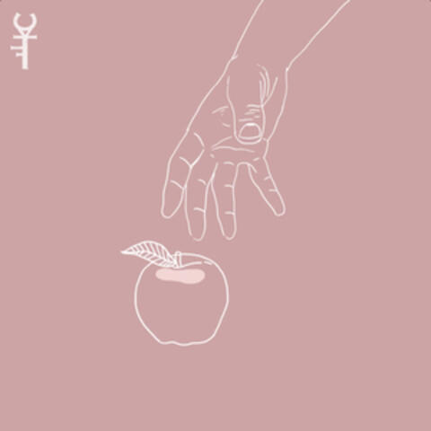 Ángel - Once in Your Lifetime