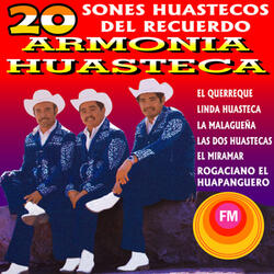 Toro Huasteco