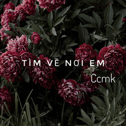 Tìm Về Nơi Em (Beat)