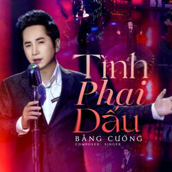 Tình Phai Dấu