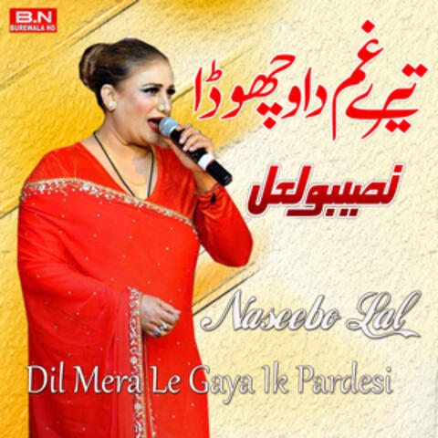 Dil Mera Leh Gaya