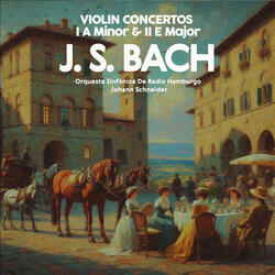 Violin Concerto No.1 in A minor: II