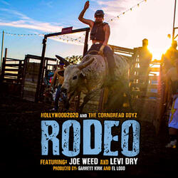 Rodeo