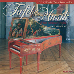 Concerto in E-Moll, TWV 52e1: I. Largo