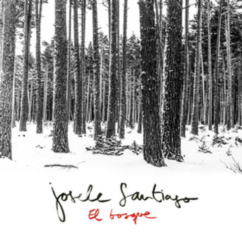 El Bosque