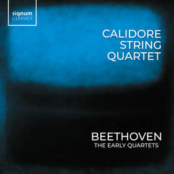 String Quartet No. 2 in G Major, Op. 18 No. 2: II. Adagio cantabile