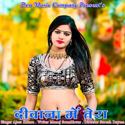 Deewana Me Tera