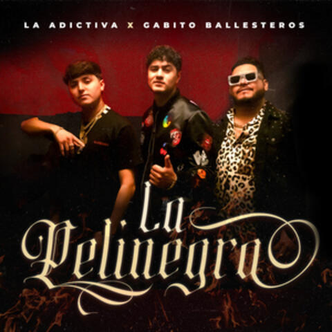 La Pelinegra
