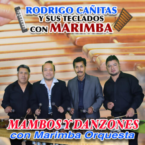 Mambos y Danzones Con Marimba Orquesta