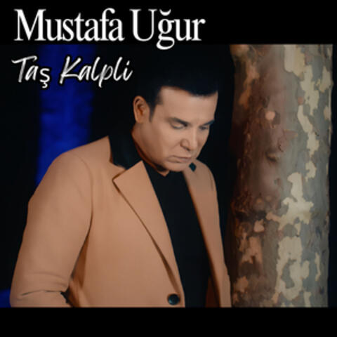 Taş Kalpli