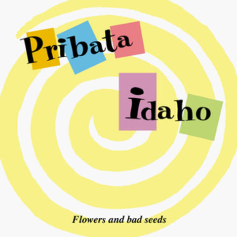 The Pribata Idaho