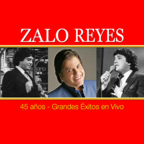 45 Años Grandes Éxitos