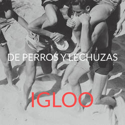 De Perros y Lechuzas