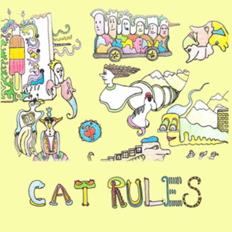 Cat Rules