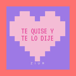 Te Quise y Te Lo Dije