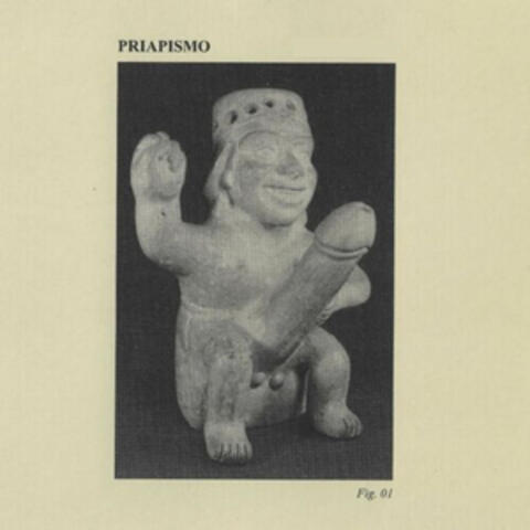 Priapismo