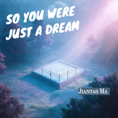 So You Were Just a Dream