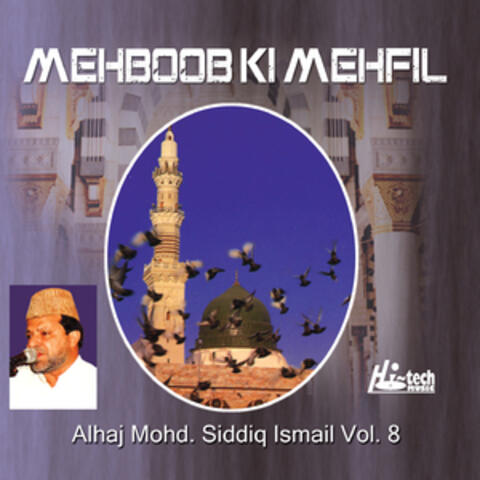 Mehboob Ki Mehfil, Vol. 8